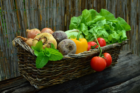 Ortaggi e conserve vegetali