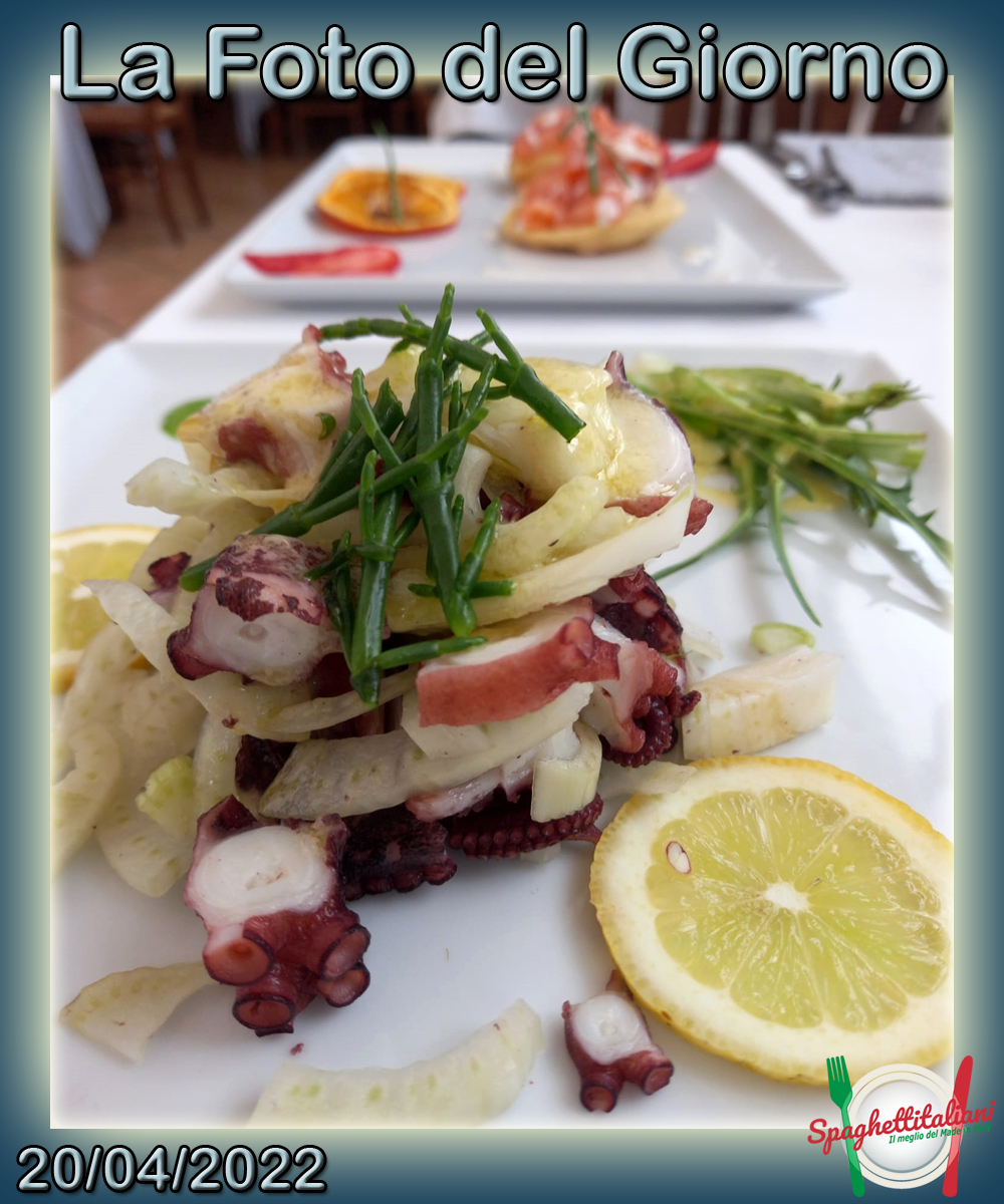 Insalata di polpo e finocchi con salsa al limone